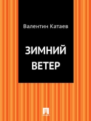 Том 6. Зимний ветер. Катакомбы