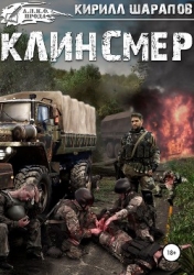 Клинсмер (СИ)