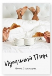 Идеальный план (СИ)
