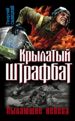 Крылатый штрафбат. Пылающие небеса 