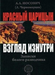 Красный Царицын. Взгляд изнутри (Записки белого разведчика)