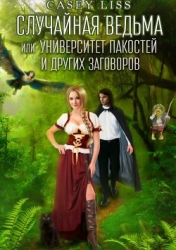 Случайная ведьма или Университет Заговоров и других Пакостей (СИ)