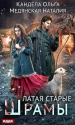 Латая старые шрамы (СИ)
