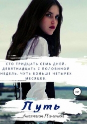 Путь: Выбор (СИ)