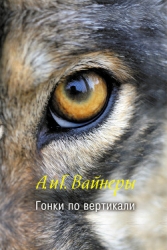 Гонки по вертикали