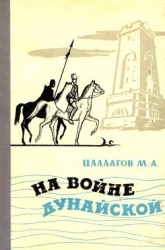 На войне Дунайской (Документальная повесть)