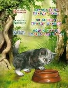 Как котенок Правду искал
