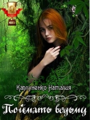 Поймать ведьму (СИ)