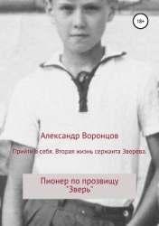 Прийти в себя. Вторая жизнь сержанта Зверева (СИ)