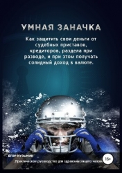 Умная заначка. Как защитить свои деньги от судебных приставов, кредиторов, раздела при разводе, и пр