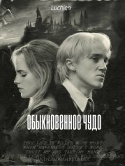 Обыкновенное чудо (СИ)