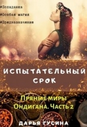 Испытательный срок. (СИ)