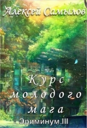 Курс молодого мага (СИ)