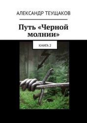 Путь Черной молнии (СИ)