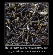 Телохранитель ее величества: Точка невозврата (СИ)