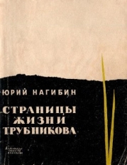 Страницы жизни Трубникова (Повесть)