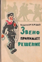 Звено принимает решение (Рассказы)