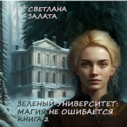 Магия не ошибается. Книга 2 (СИ)