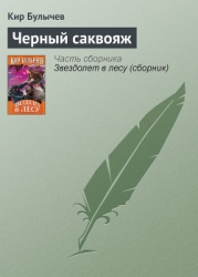 Черный саквояж