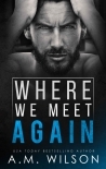 Where We Meet Again
