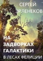 В лесах Фелиции (СИ)