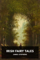 Irish Fairy Tales