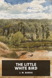 The Little White Bird