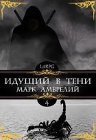 Идущий в тени 4 (СИ)
