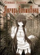 Лагерь волшебниц №208 (СИ)