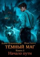 Тёмный маг. Книга 2. Начало пути