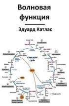 Волновая функция (СИ)