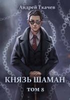 Князь шаман. Том 8 (СИ)