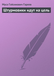 Штурмовики идут на цель