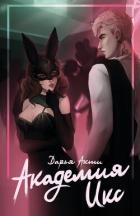 Академия Икс (СИ)
