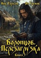 Воронцов. Перезагрузка. Книга 3 (СИ)