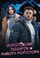 Новогодний подарок майора Морозова (СИ)
