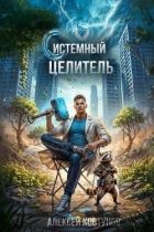 Системный целитель 4 (СИ)