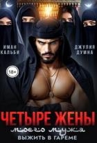 Четыре жены моего мужа. Выжить в гареме (СИ)