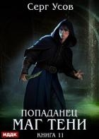 Попаданец. Маг Тени. Книга 11
