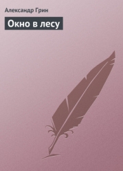 Окно в лесу