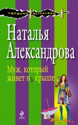 Кот в мешке (Муж, который живет на крыше)