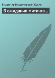 В ожидании митинга...