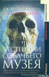 За стенами собачьего музея
