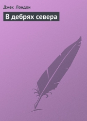В дебрях севера