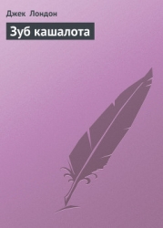 Зуб кашалота