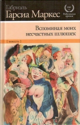 Вспоминая моих грустных шлюх