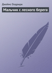 Мальчик с лесного берега