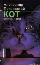 Кот