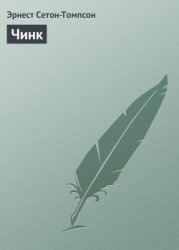 Чинк