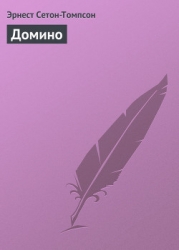 Домино